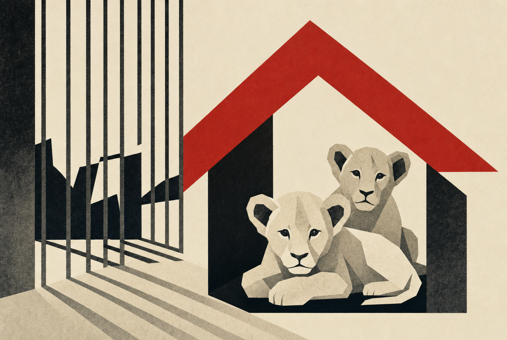 Abstract editorial illustration