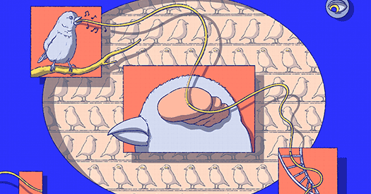 This article changed my life: Embracing an early model of naturalistic neuroscience