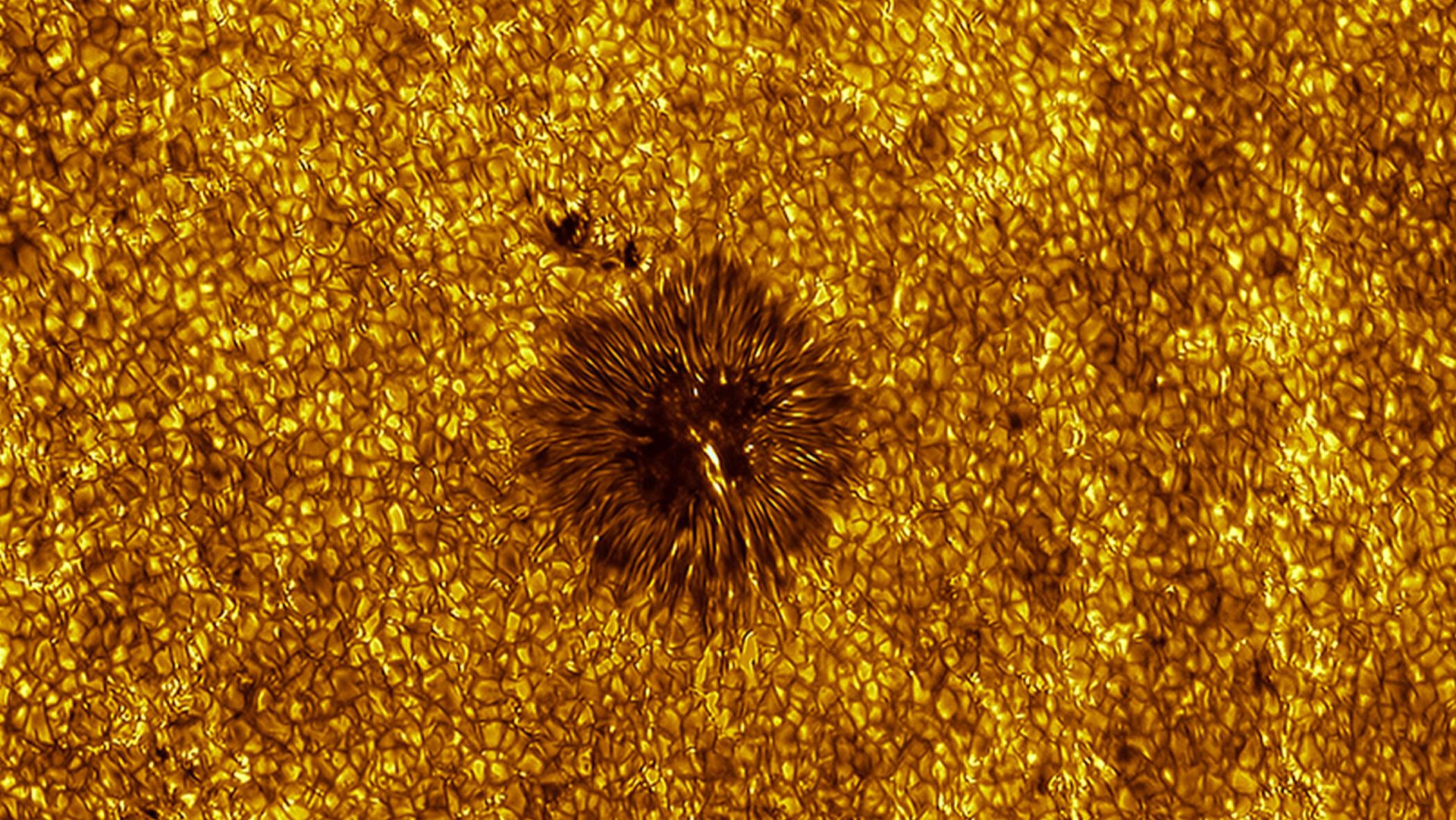“After several attempts, a perfect opportunity eventually arose,” says award-winning astrophotographer on his super-detailed shot of Sun’s surface