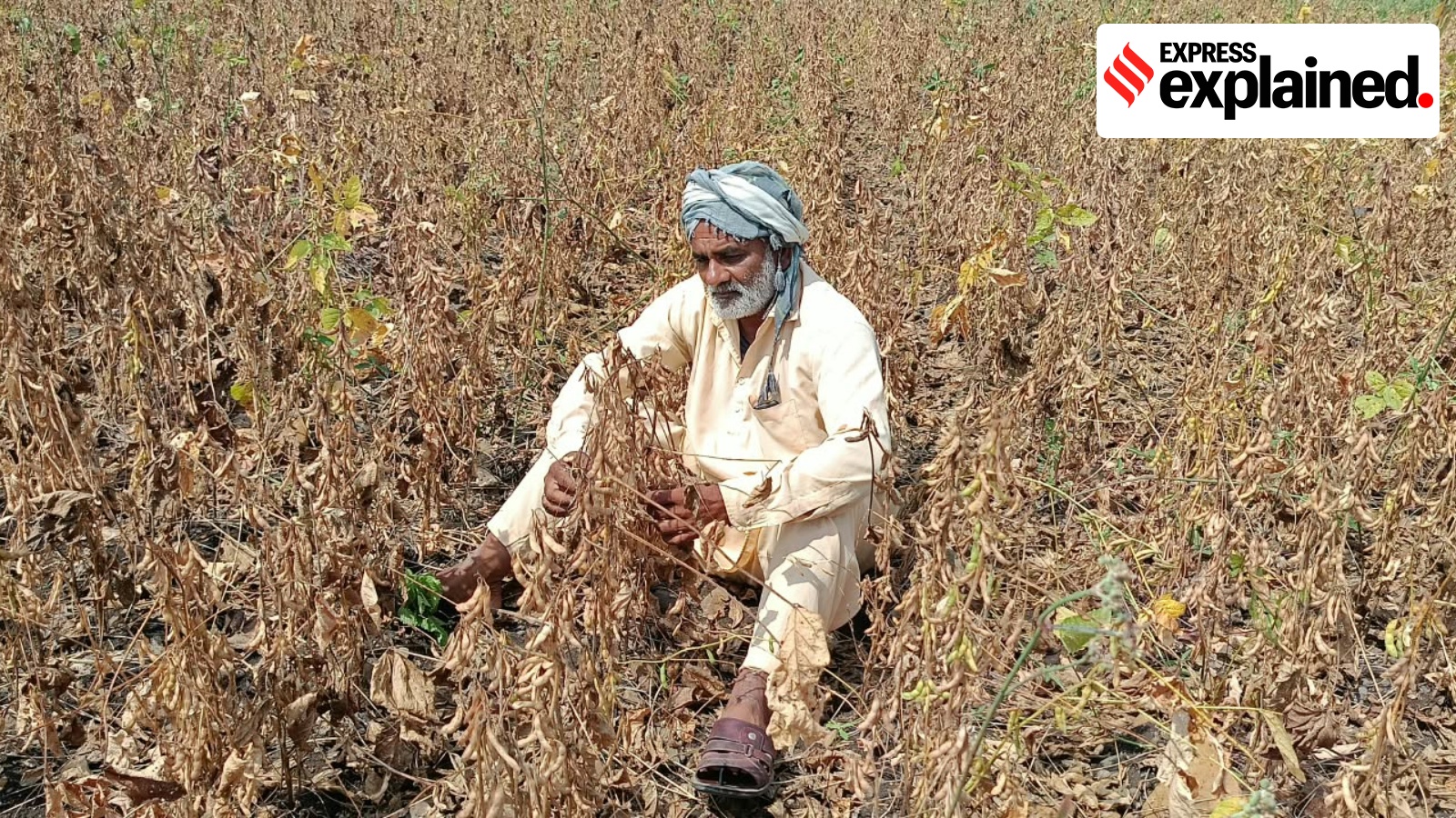 Behind Maharashtra drought crisis, sharp regional variation in rainfall