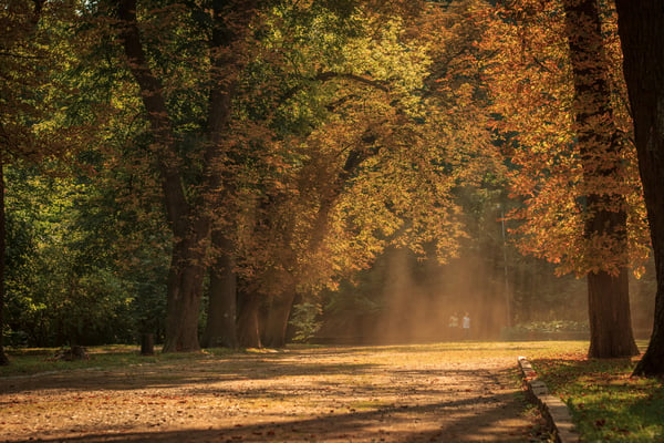 These are the top 9 reasons to travel during shoulder season
