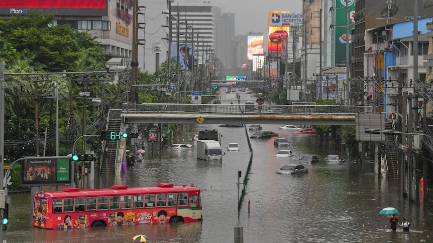 Bangkok declared disaster zone after nearly 300mm of rain in two days