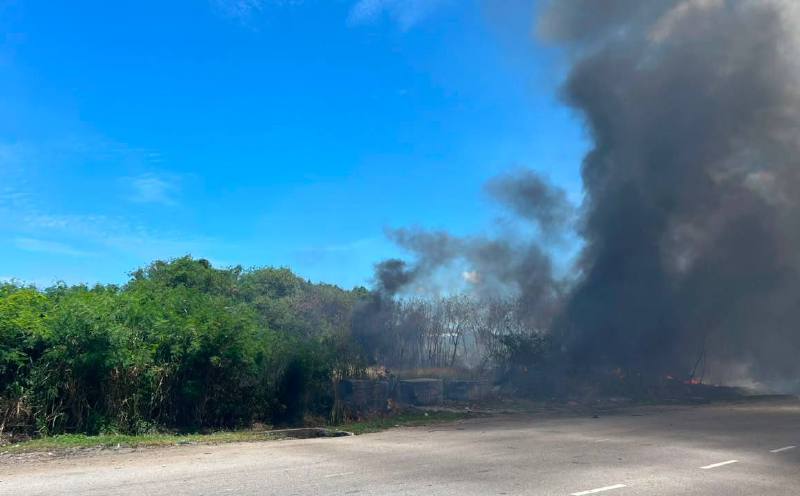 Two-hectare forest fire sends thick smoke billowing over Port Klang