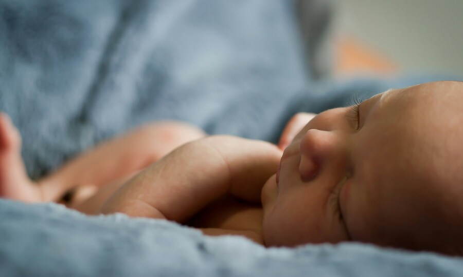 Wealthy Chinese parents turn to US surrogacy for American-born children