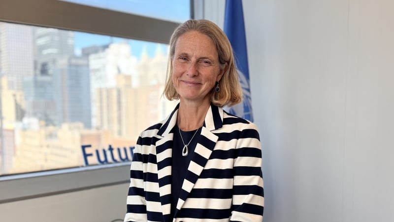 Irish UN director on AI 'risk, opportunity' for elections