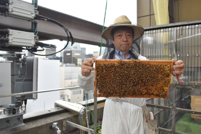 Tokyo’s Ginza marks 20 years of urban beekeeping