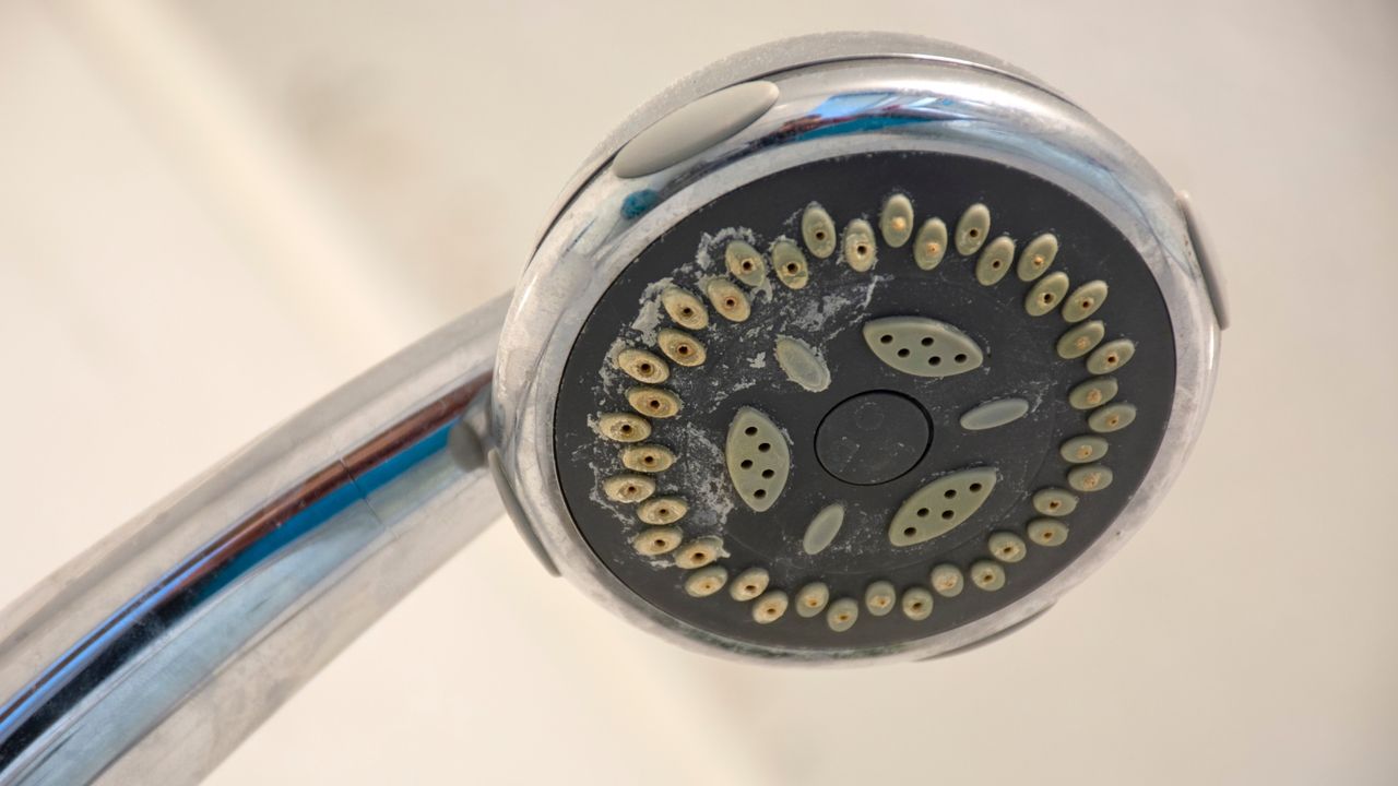 How often should you actually clean your shower head? My plumber husband reveals his top expert tips