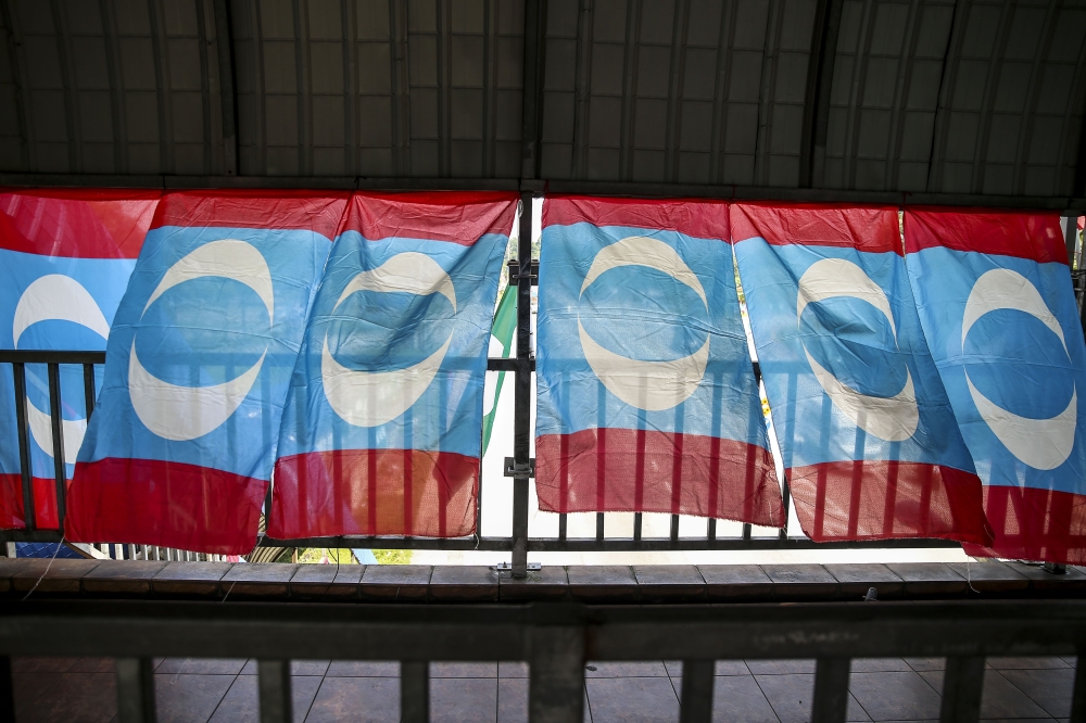PKR Selangor delegate calls for party to use own logo in Melaka polls