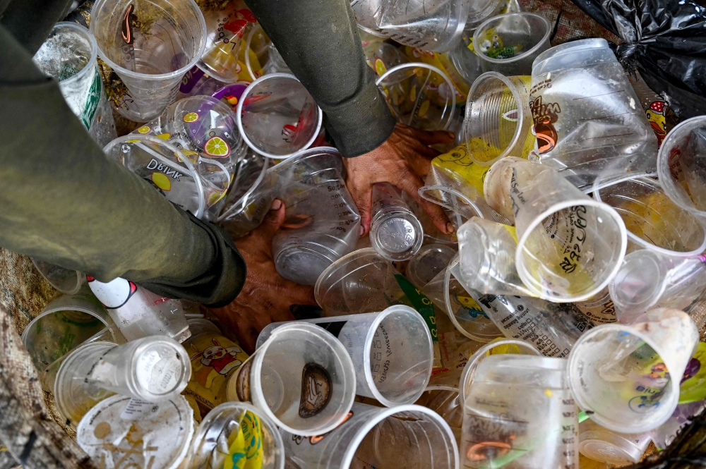 Slovak scientists create biodegradable bioplastics from algae to cut reliance on crude‑oil plastics
