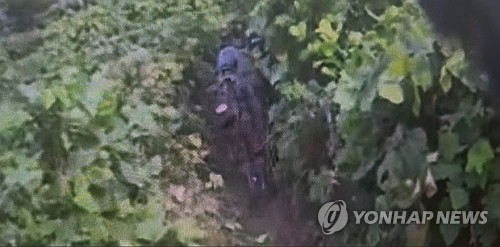 S. Korean military, U.N. Command conduct joint probe on DMZ blast site: JCS