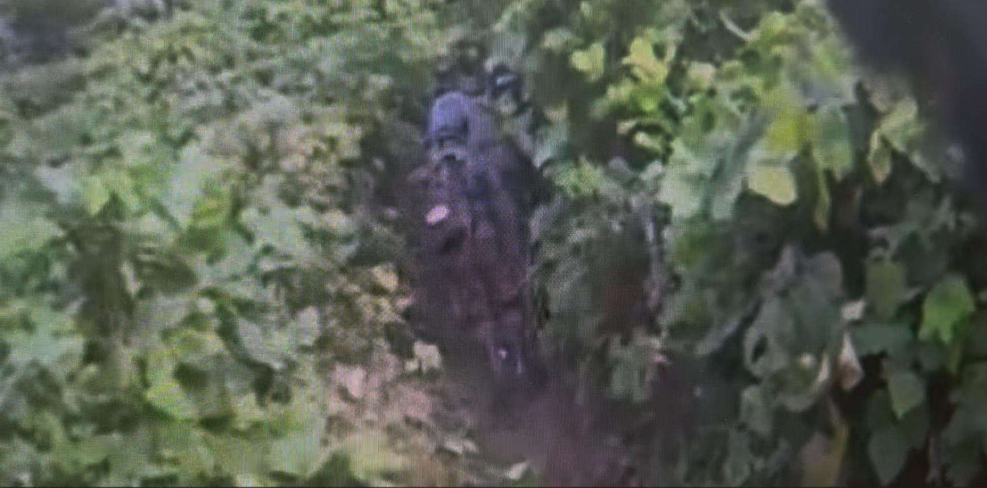 S. Korean military, UNC conduct joint probe on DMZ blast site: JCS