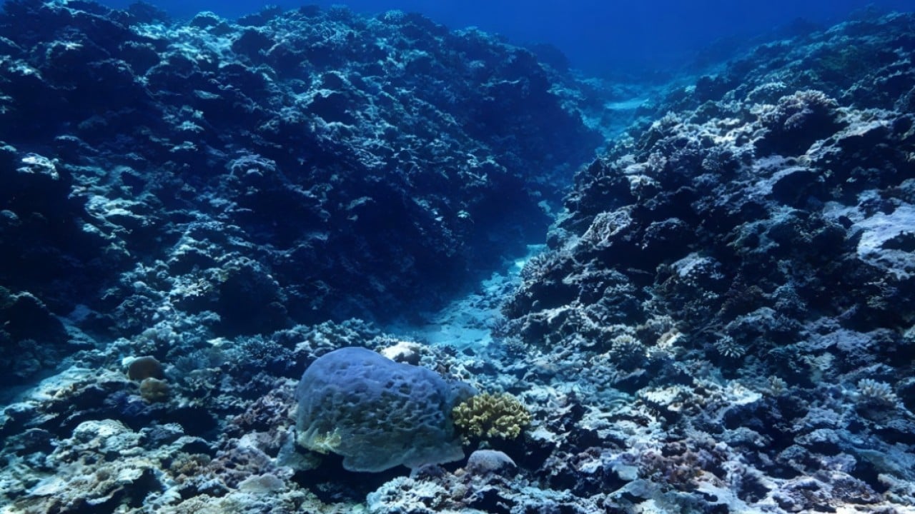 Beijing issues ecological report to solidify South China Sea claims amid US row