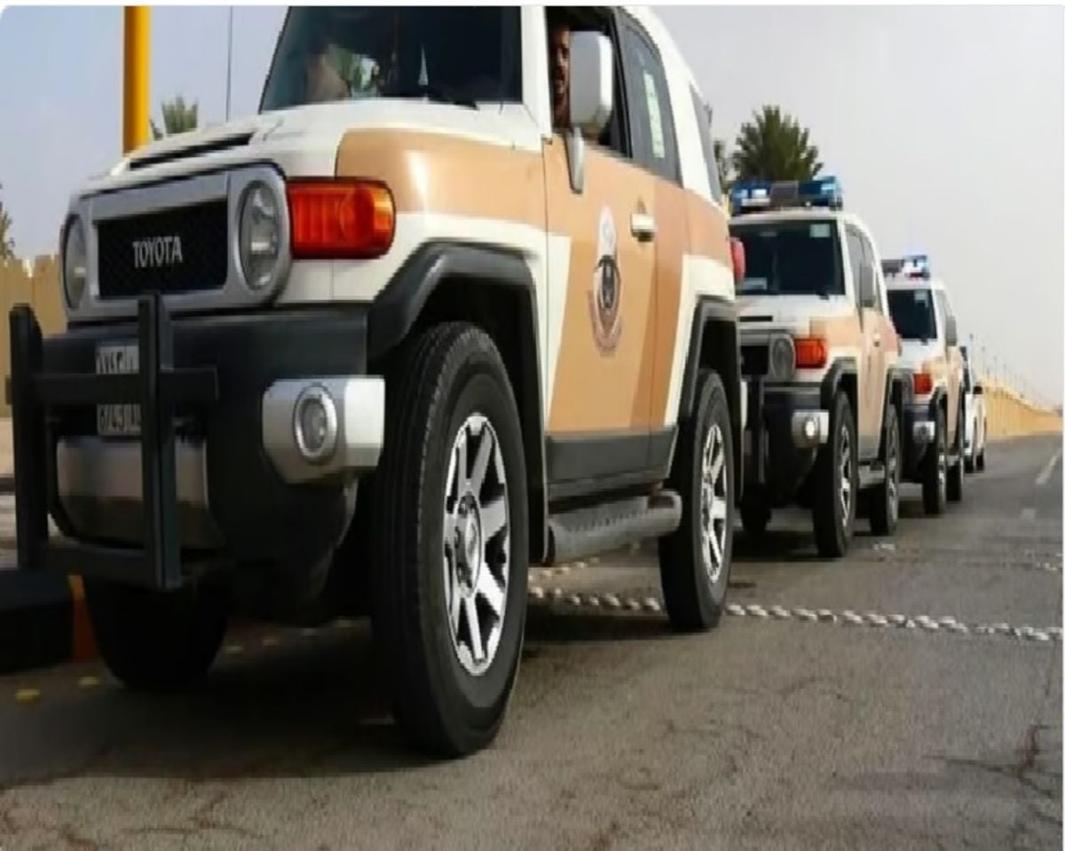 Over 14,000 violators of residency, labor, and border laws arrested in one week