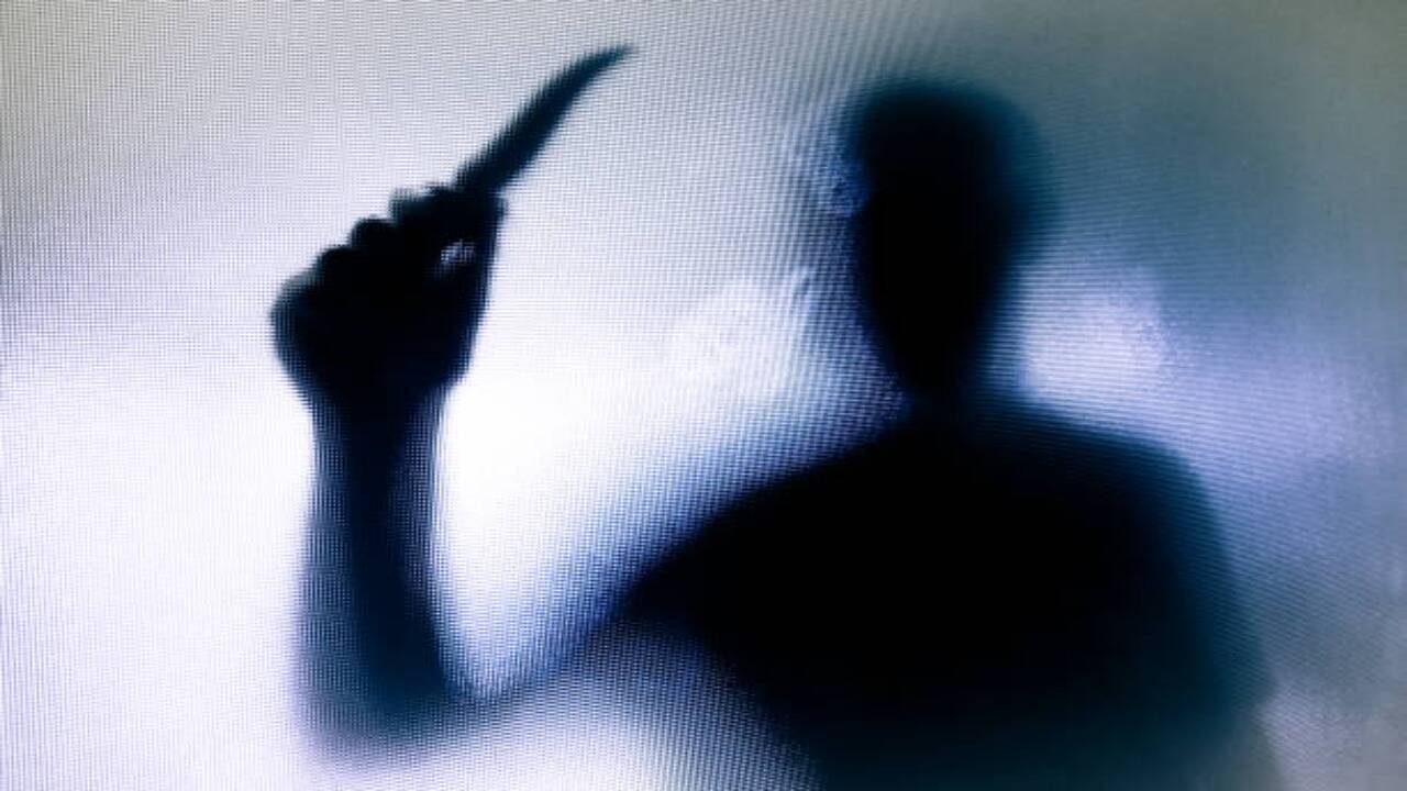 Gut bacteria in psychopaths may drive sinful behavior, scientists claim