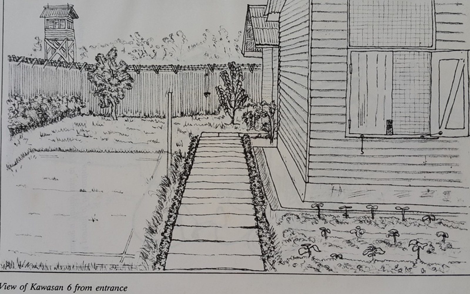 Operation Lalang as told through Kua Kia Soong’s sketches