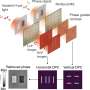 Two devices in one: Metasurface could bring medical imaging to smaller sensors