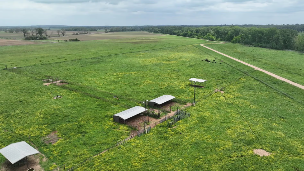 Louisiana neighbors' fight over 70-foot strip ends with $15K, dead cow stunt