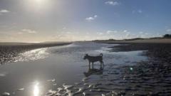 Late September warmth before wind and rain returns this week