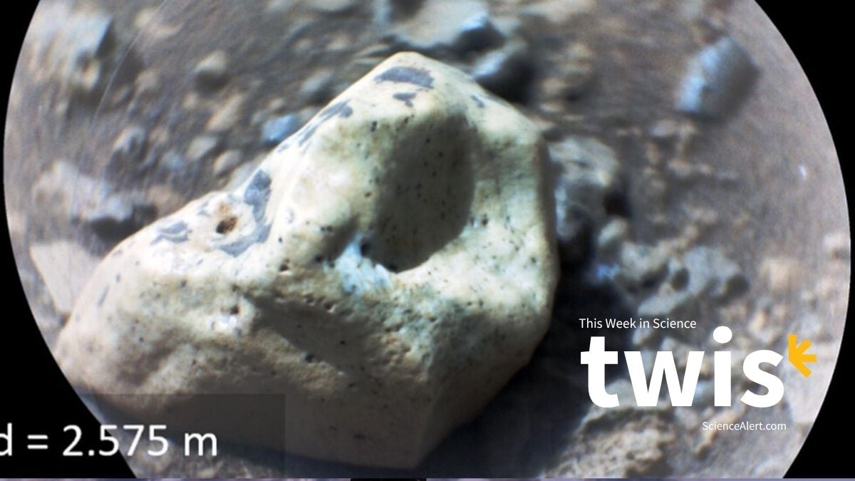 This Week in Science: AI Agents Come to an Agreement, Gemstones on Mars, And More!