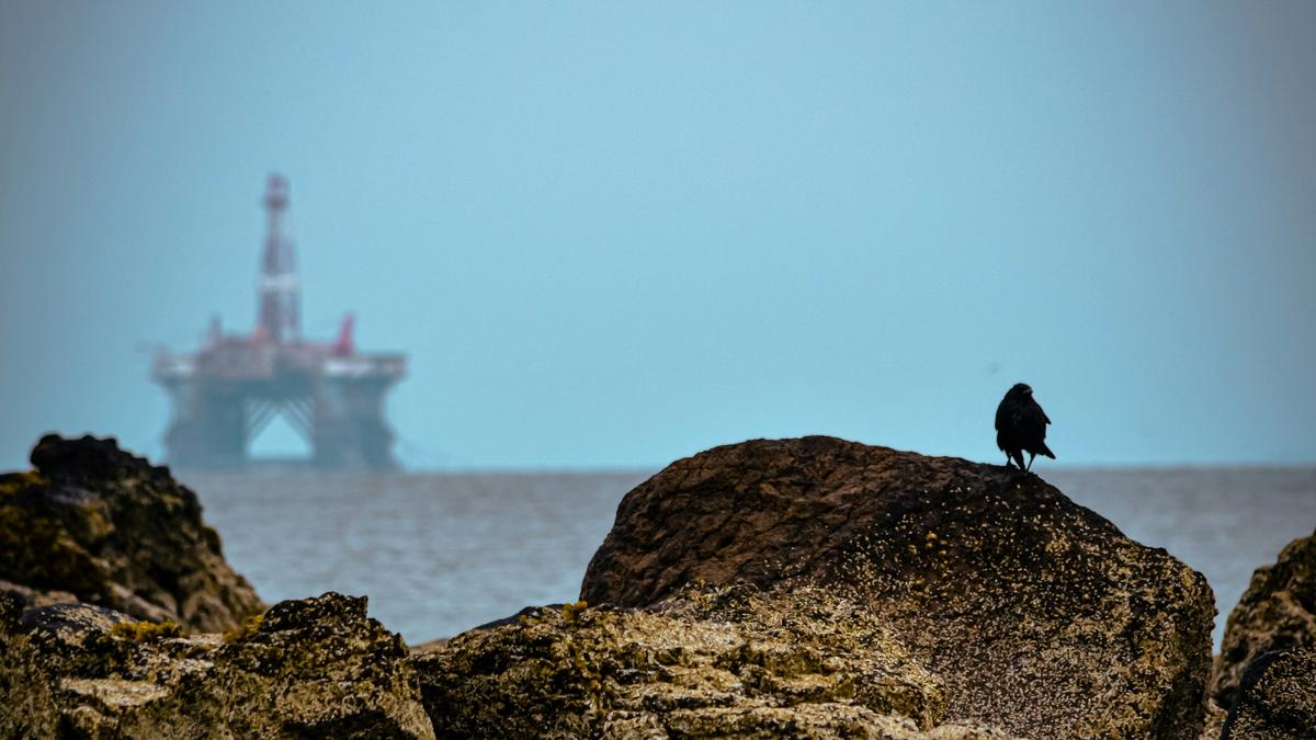 COP31 hosts Australia and Türkiye face the fossil-fuel question