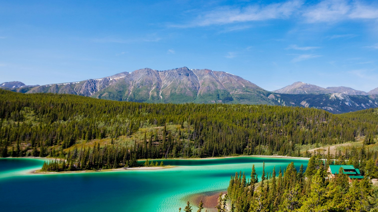 Yellowstone-to-Yukon project builds 204 crossings, saves 24M hectares