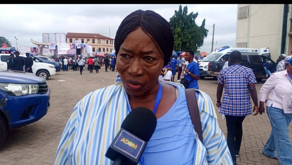 Alleged injunction against NPP Ashanti regional elections ‘invalid’ – Committee Chairperson