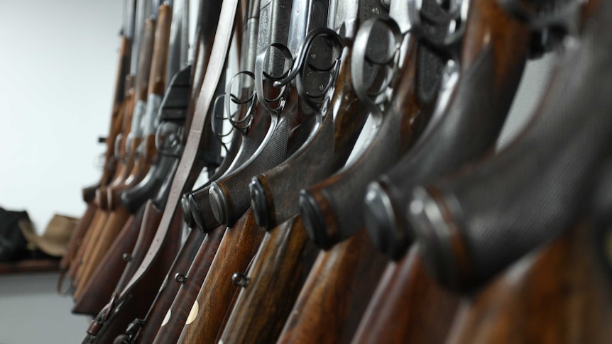 NSW launches gun buyback scheme in wake of Bondi terror attack