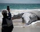 After a dead whale washed up at a Perth beach, some took selfies. Others held their nose from the stench