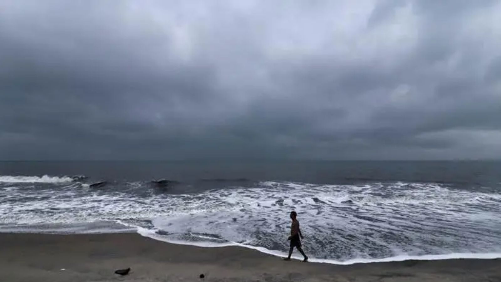 Turbulent monsoon seas trigger unusual wave alerts along Kerala coast