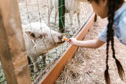 Five budget-friendly school holiday activities for kids in Cape Town
