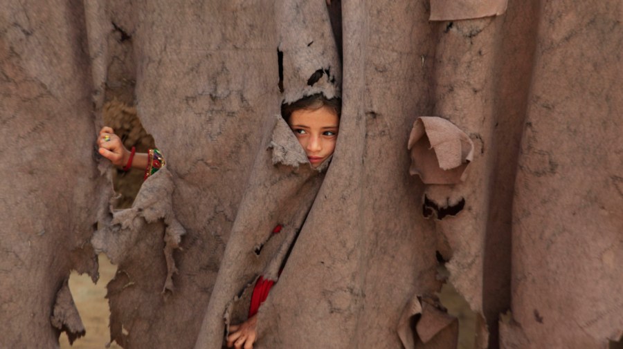 No one should be sent back to Taliban rule