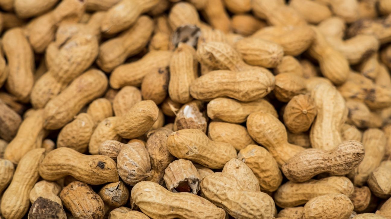 ‘Poop Pills’ Show Promise for Severe Peanut Allergy, Early Research Shows