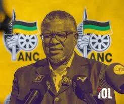 The ANC will not " self-correct" its way out of collapse