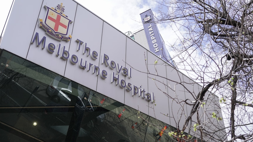 Melbourne public hospital doctors to strike next week