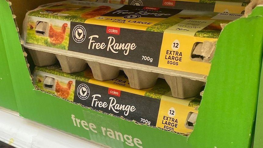 Hens moved indoors but free-range label still allowed