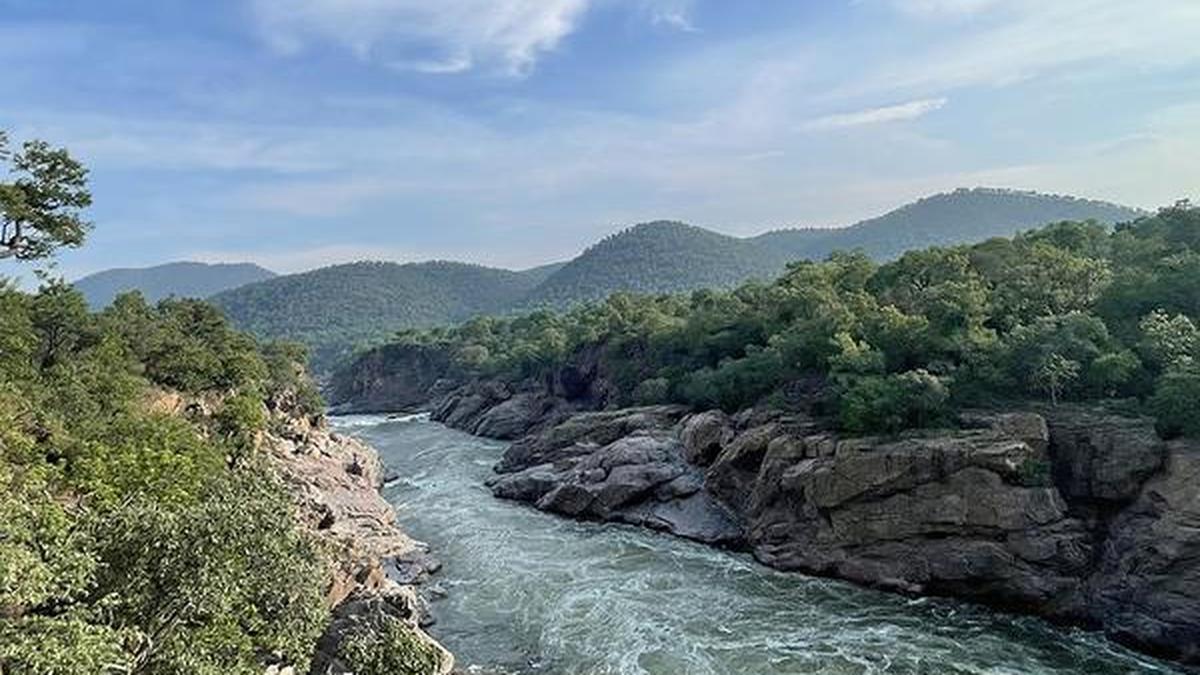 Karnataka seeks clearances for irrigation projects, including Mekedatu