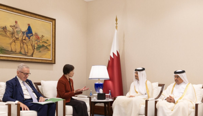 Prime Minister and Minister of Foreign Affairs meets AIIB President