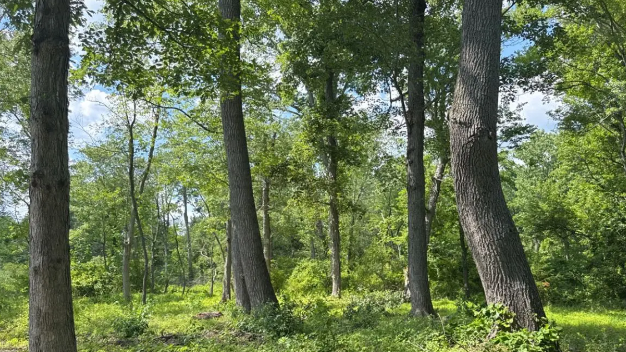 Pennsylvania family preserves 30-acre farm next to 1,300 acres, protecting habitat