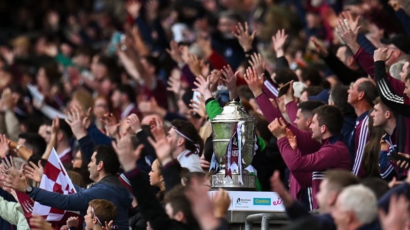 New Leinster Hurling Championship format nears completion