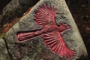 Wild Bird Petroglyph in Phippsburg, Maine