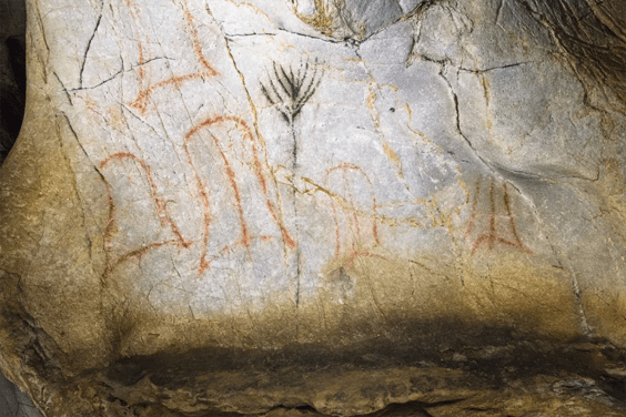 Is This the World’s Oldest Image of a Mind‑altering Plant?