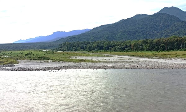 Assam Government Encroaches Into a World Heritage Site in India’s Northeast