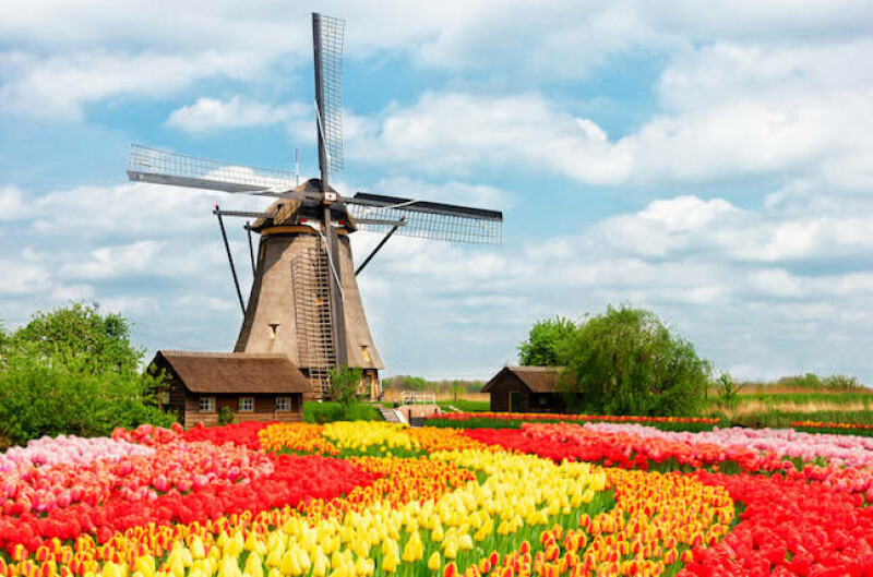 Dutch government turns to NixOS for a sovereign desktop