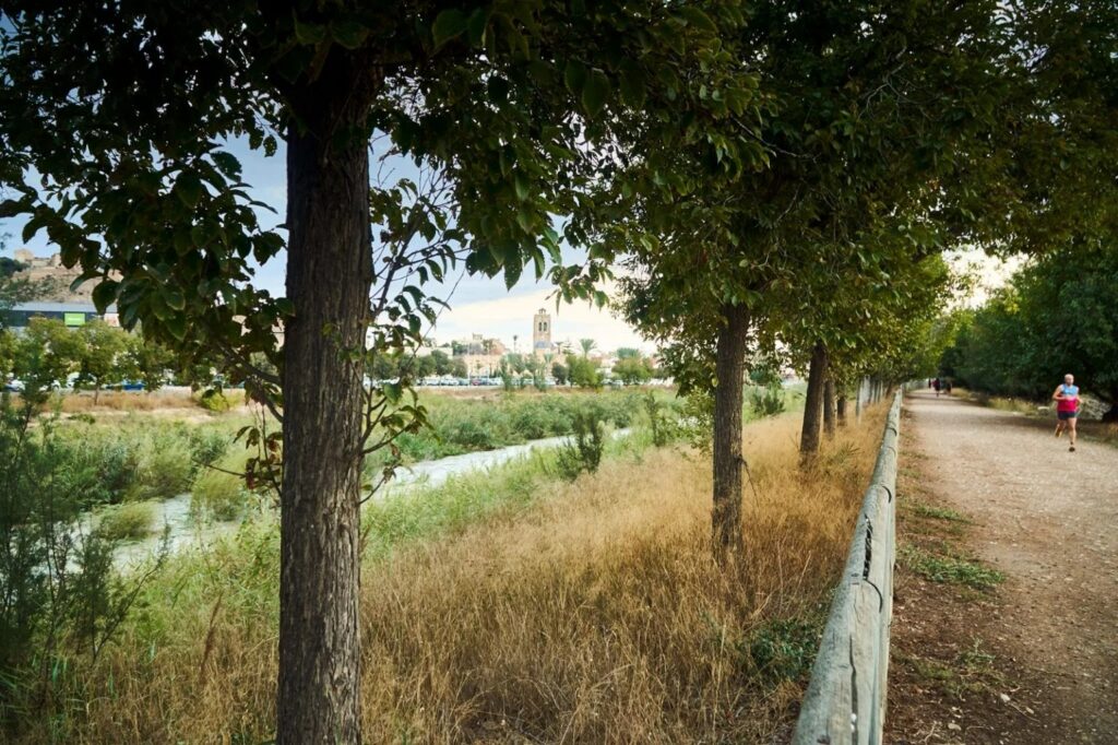 Orihuela River Segura restoration receives €3.3 million boost for greener future