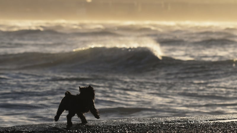 Status Yellow wind warnings for eight counties