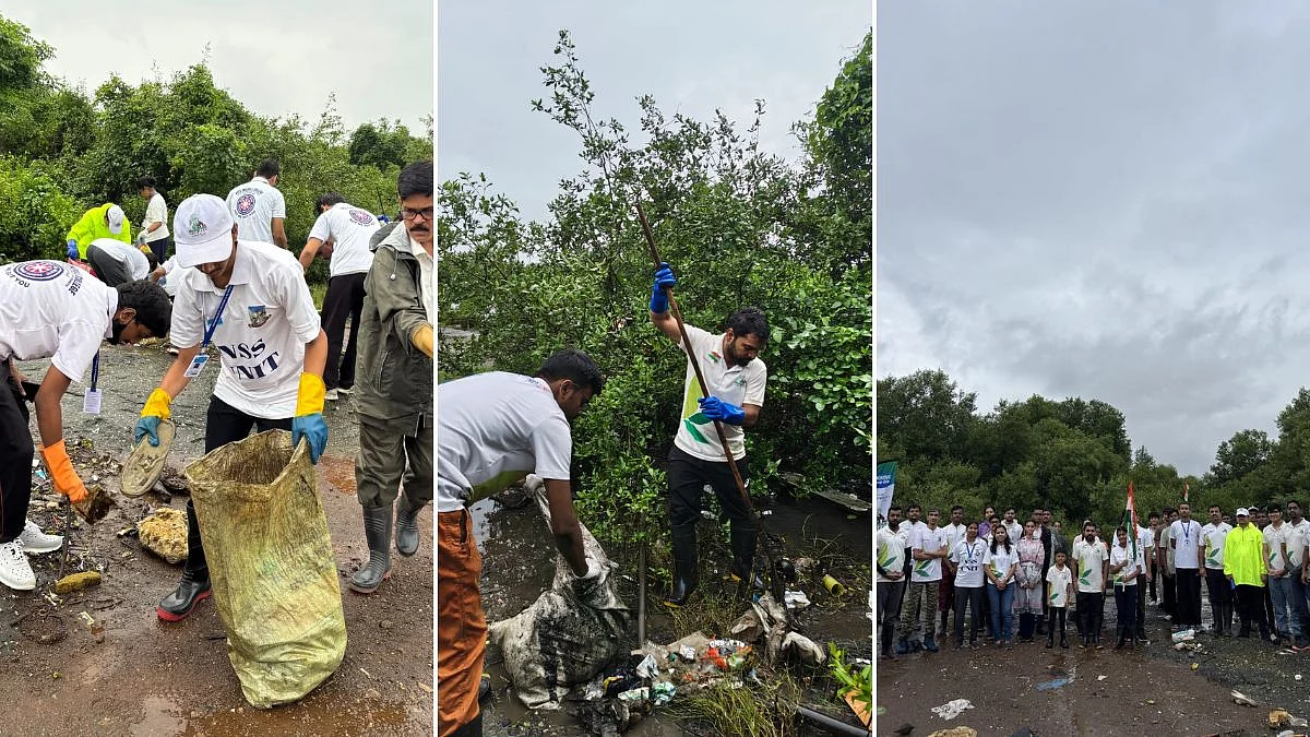 Navi Mumbai: Over 1,300 Tonnes Of Waste Removed From Mangroves In 6 Years, 1.30 Lakh Volunteers Join Clean-Up Campaign