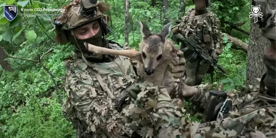 Ukrainian special forces capture three Russian troops and rescue fawn during raid