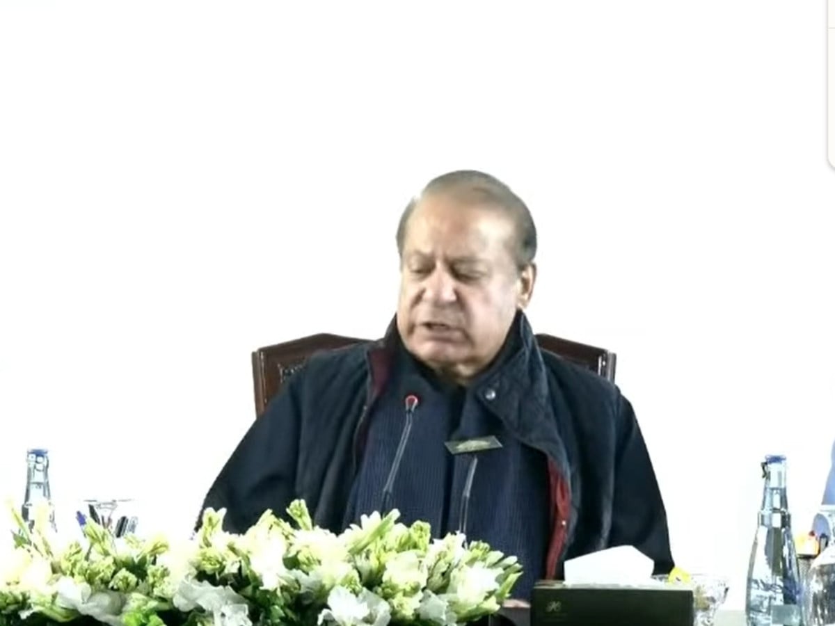Nawaz seeks to ease tensions with PPP, says political differences should not become hostility