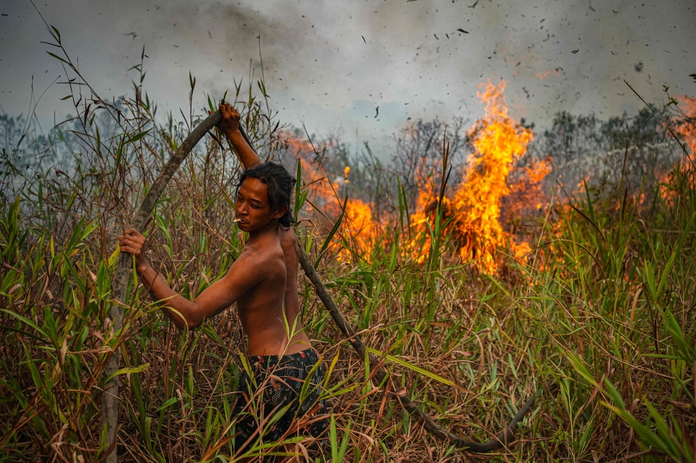 What we know about the wildfires choking Indonesia, fuelling regional haze across Malaysia and Singapore