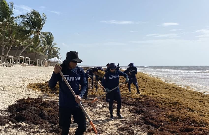 Aeroméxico pulls its flights to Tulum with Wednesday as the last day